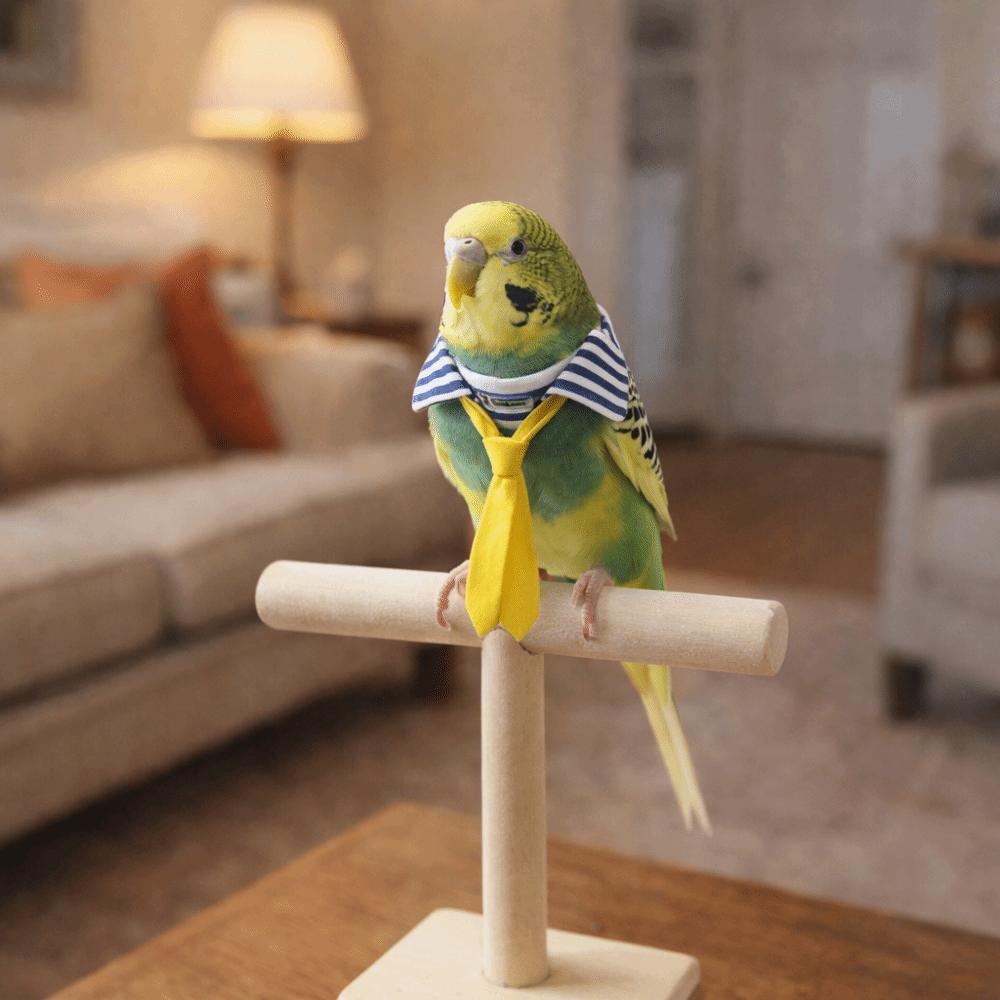 Lightweight Parrot Necktie Adjustable Pet Bird Tie Little Bird Costume  Pet Decoration