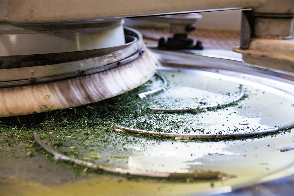 Sakamotoen Miyama no Tsuyu Premium Kamairicha Gokase Miyazaki 100g x 1 (Special Grade), Town, Prefecture,