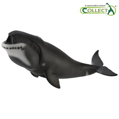 Collecta Bowhead Whale, Popular Toys In Korea