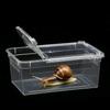 Premium Reptile Feeding Box For Small Pet Lizards Tortoises Snakes