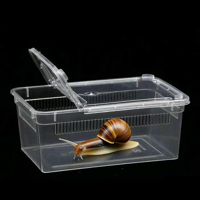 Premium Reptile Feeding Box For Small Pet Lizards Tortoises Snakes