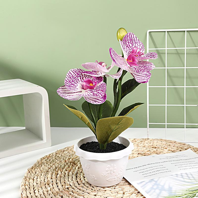 Artificial Phalaenopsis Flower Decor With Plastic And Silk Materials For Indoor Garden And Photography Props