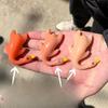 Color-Changing Duck 3D Roasted Chicken Car Keychain UV Sensor, Relaxing Decorative, Creative Birthday Present, Rope Self-Binding