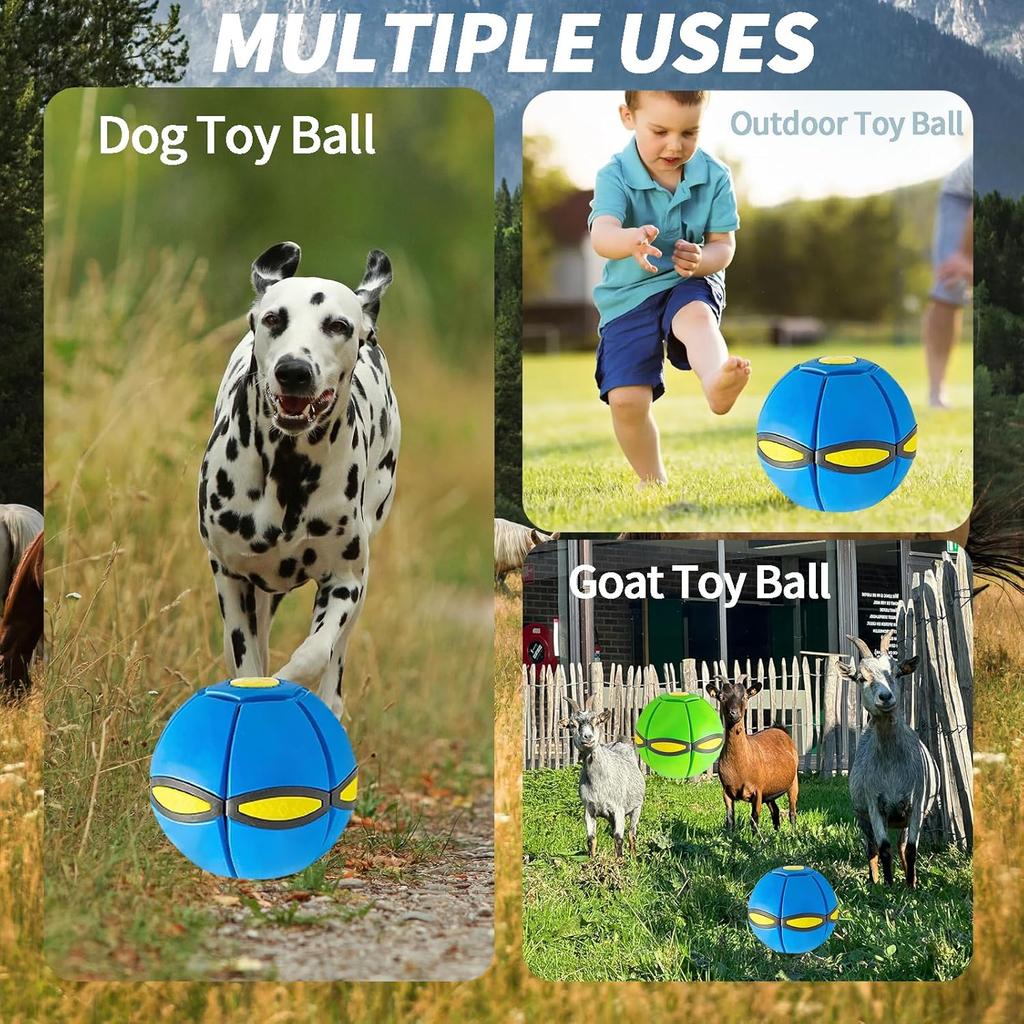 2PCS Horses Ball Toy, Doggy Disc Ball, Flying Saucer, Bouncy Balls, Parent-Child Interaction with Lights, Form Freely Switchable with 6 Light, Dog