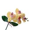 Vivid Artificial Moth Orchids Cloth Realistic Simulation Phalaenopsis Plants with Leaves Fake Butterfly Orchid Bedroom