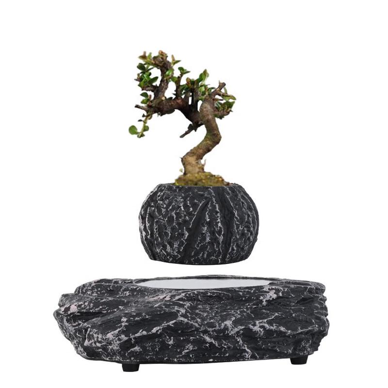 Lilang Magnetic Levitation Floating Plant Pot
