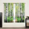 2-teilig, Party-Fenstervorhänge Naturpfad Birkenwald Frühherbst Waldlandschaft Vielseitiger Stoff, Ohne Strom Familie