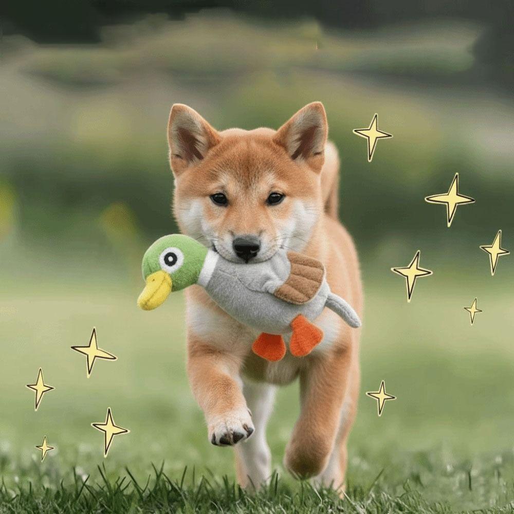 Jouet Chien Siffleur en Peluche Douce Résistant aux Morsures Canard en Peluche Siffleur Jouet pour Chien Résistant à l'Usure Siffleur Entraînement