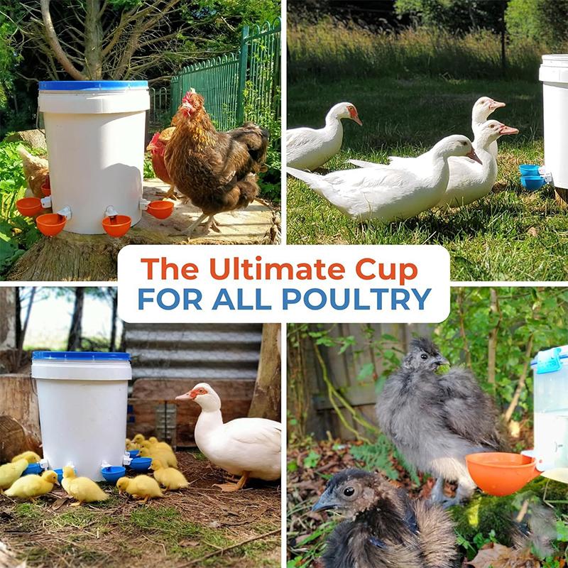 5Pcs Automatic Drinking Bowl Chicken Drinker Hanging Water Cup For Backyard Poultry