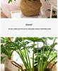 Nordic Green Artificial Plants: Dried Flower Ornaments for Home or Office Decor