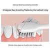 Midea MR1 Series Adult Sonic Electric Toothbrush with 2 Brush Heads CN Plug (adapter Included)