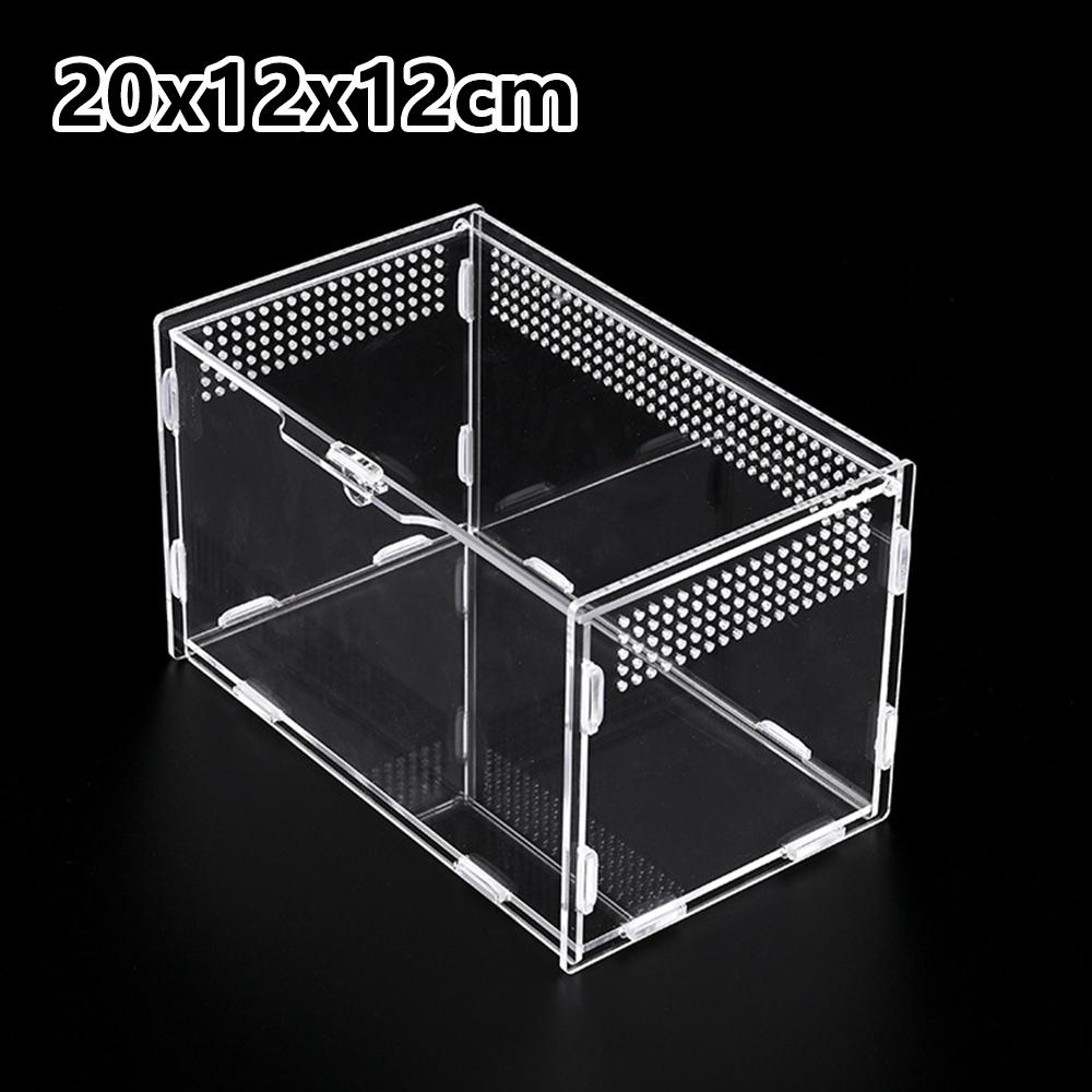 Springspinnen Acryl Vitrinen Reptilien Terrarium Käfig Box Acryl Spinnen Gehege für Vogelspinne