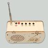 DIY Craft Wood Radio Material Set Wooden Scientific Training Experimental Kits  Science Education