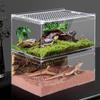 Reptil Habitat Terrarium Oppdrettsboks Akryl Insektfôringsboks Treledyr Tarantula Innhegning Scorpion Bearded