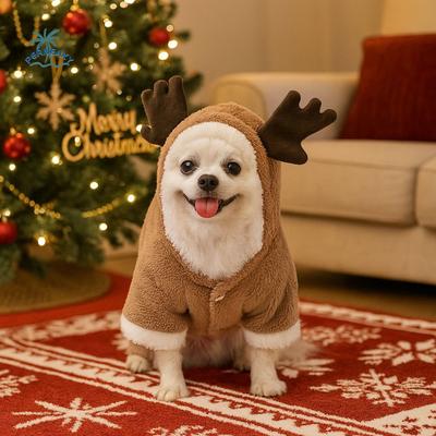 Giyim ve ayakkabı – Köpekler İçin Kapşonlu Kazaklar