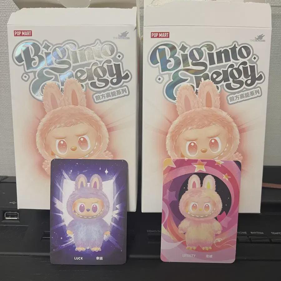 I Sell Labubu Beast 