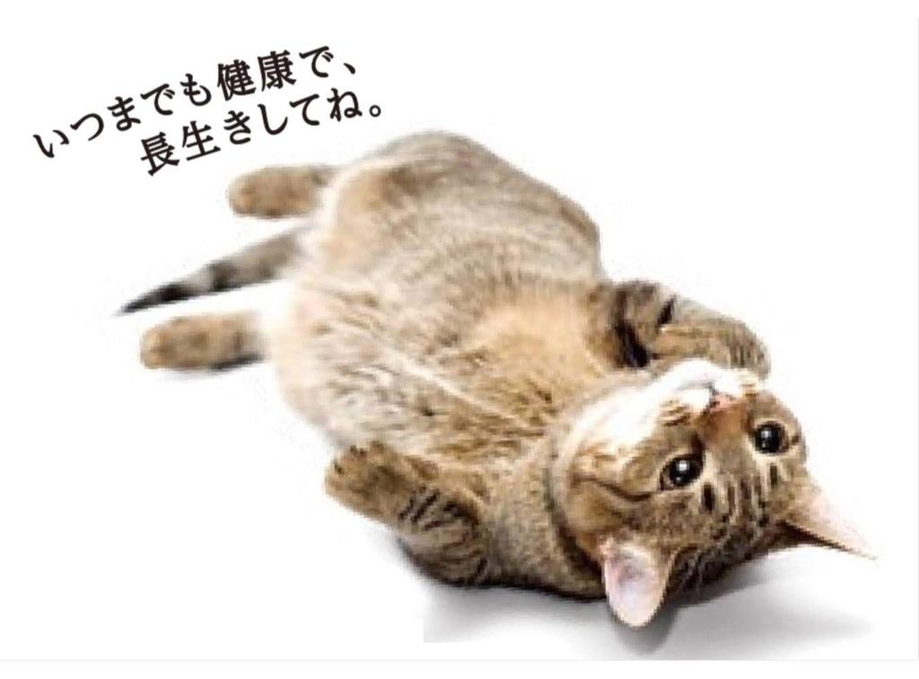 Medifas Wet Cat Care after From Kittens to 10 Years Tuna and Young Chicken Fillet Nutritional Urinary 50g x 12 Food, Spay/Neuter, Old, [Comprehensive