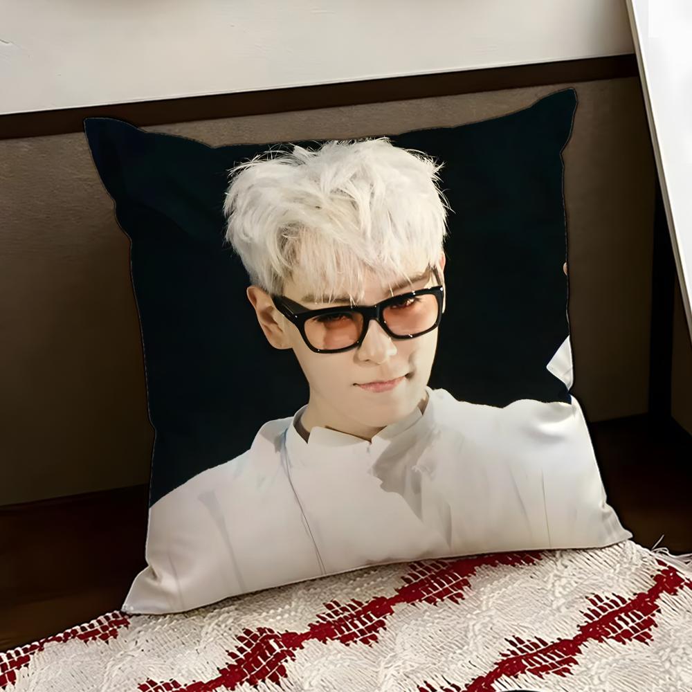 Singer TOP Cushion Cover Reversible Soft Durable Pillow Cover Home Car MultiScene Use for Daily Comfort