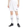 Puma Teamgoal 23 Solid Logo Elastic Waist Three-Quarter Sports Shorts Men shorts 704262-04