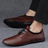 Stylish Casual Leather Shoes Men Luxury Brand for Men Driving Shoes Male Comfortable Sneakers Classic Lace-Up Mens Slip on Shoes
