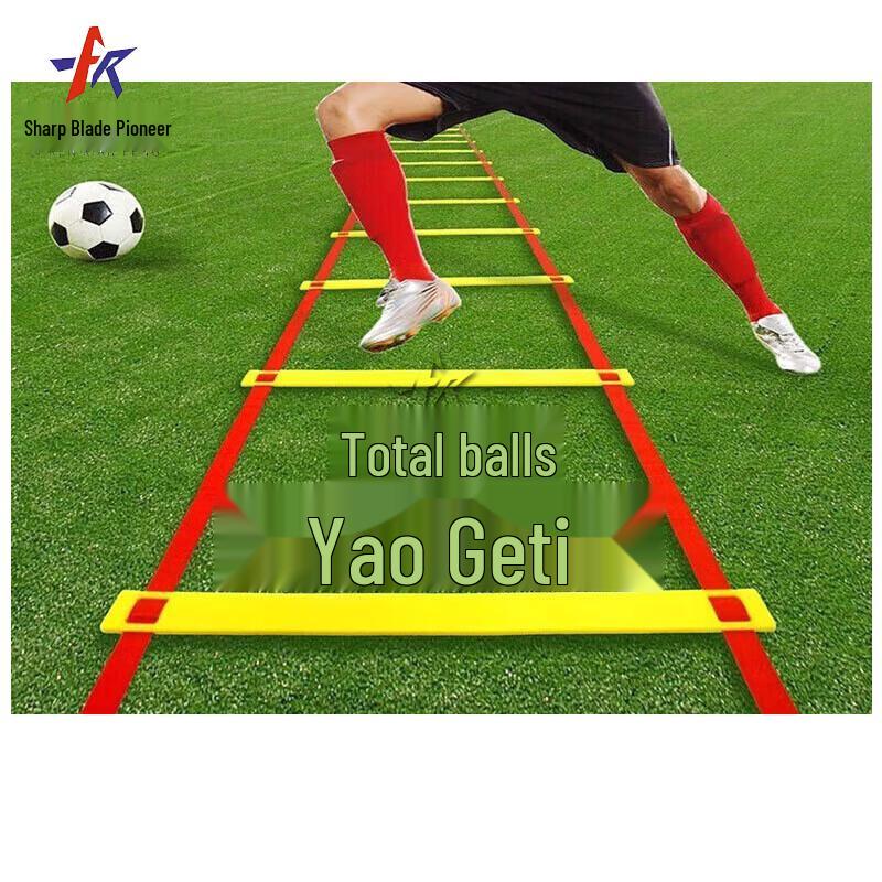 Agility Training Ladder