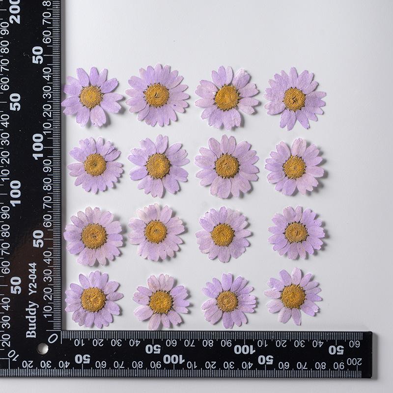 12 PCS/Set Pressed Dried Flowers for Scrapbooks Making Natural Flower For Epoxy Resin Pendant Necklace Jewelry Making Craft