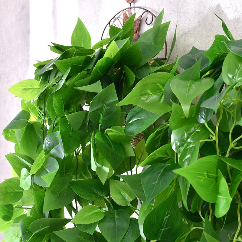 Artificial Pothos Vine Wall Decor