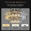 Nu Feng Crystal Ceiling Light