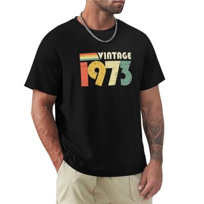 Vintage 1973, 50th Birthday Gift Distressed Design T-Shirt Tees Graphic T Shirt Men Workout Shirt