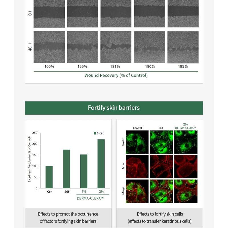 MASIL - 12 Scalp Cleansing Lotion