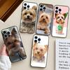 Yorkshire Terrier Dog Puppy Case For Samsung Galaxy M23 M13 M16 M11 M21 M31 M20 M54 M14 M34 M52 M32 M12 M36 M56 M15 M55