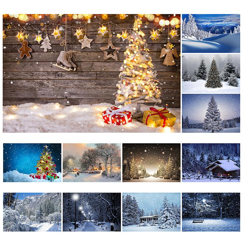 Winter Wonderland Themed Background,Christmas Photography Backdrop,for Parties and Holiday Photography Backdrops,Photo Studio