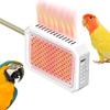 Bird Cage Heater Metal Thermostat Small Pet Warming Device Indoor Accessories for Breeding Birdhouse Cage