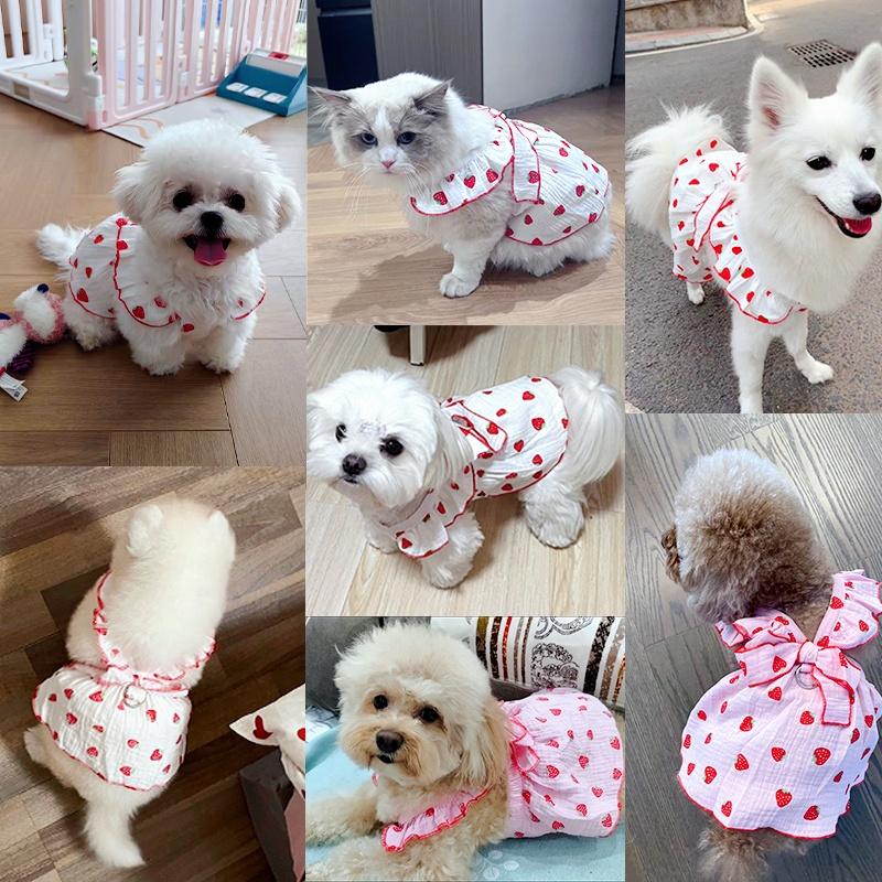 Summer Dog Dress Cute Strawberry Print Bowknot Skirts Cat Princess Dress Chihuahua Yorkie Sweet Skirts Puppy Costume Pet Clothes