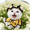 Cat Headgear Elastic Pet Knitted Hat Comfortable Bee Shaped Cat Collar Warm Pet Costumes Party Events