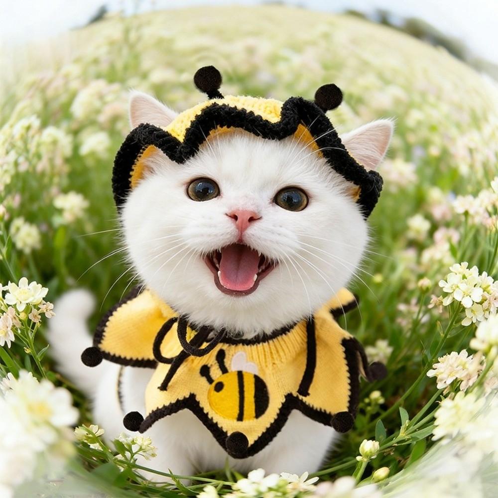 Cat Headgear Elastic Pet Knitted Hat Comfortable Bee Shaped Cat Collar Warm Pet Costumes Party Events