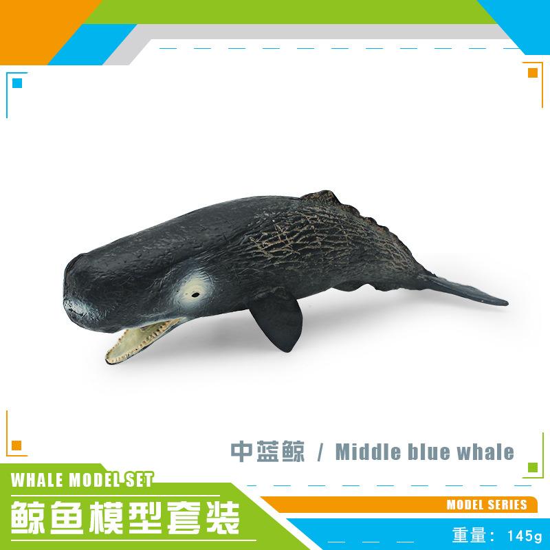 Simulation Of Marine Animals 2 Whale Models Children'S Cognition Of Underwater Creatures Sperm Whale Blue Whale Static Ornament