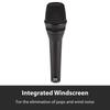 AKG P5 S Supercardioid Vocal Microphone with Switch
