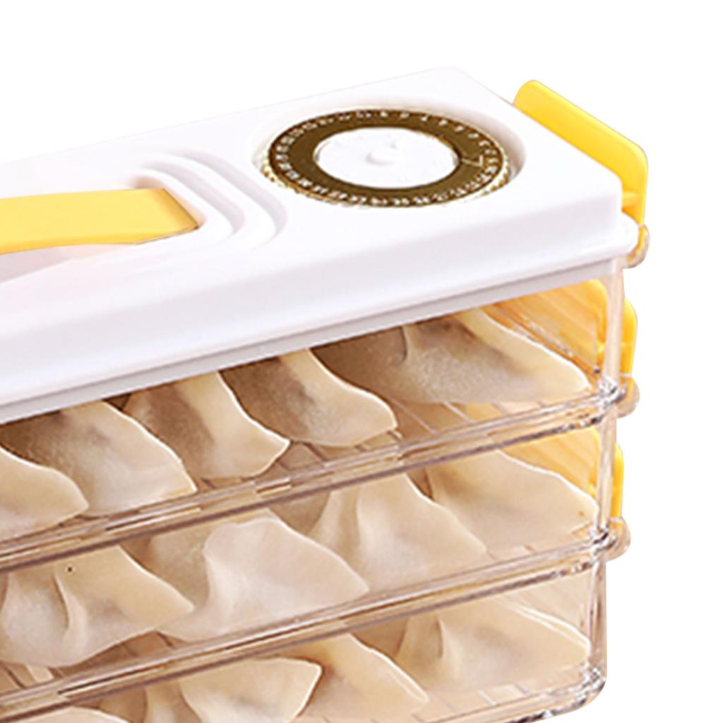 Dumpling Storage Container Food Grade Plastic Refrigerator Dumpling Storage Box for Home