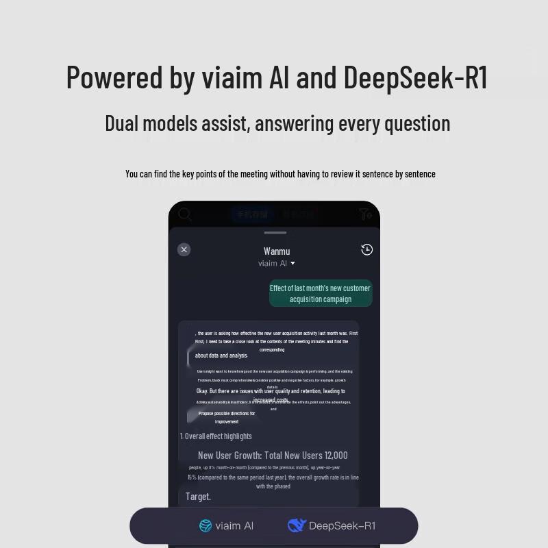 iFLYTEK Nano+ AI Conference Wireless Earbuds
