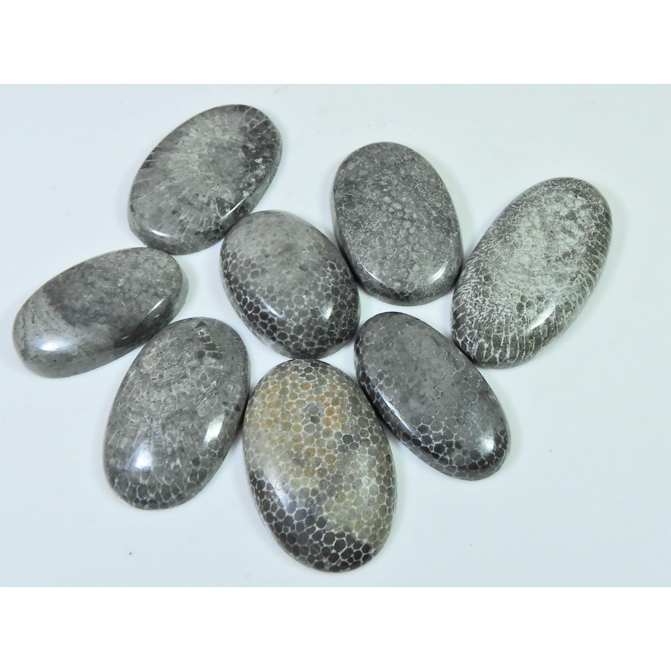 

237Cts. Natural Black Fossil Coral oval Cabochon Loose Gemstone 08 Pcs Lot C-641