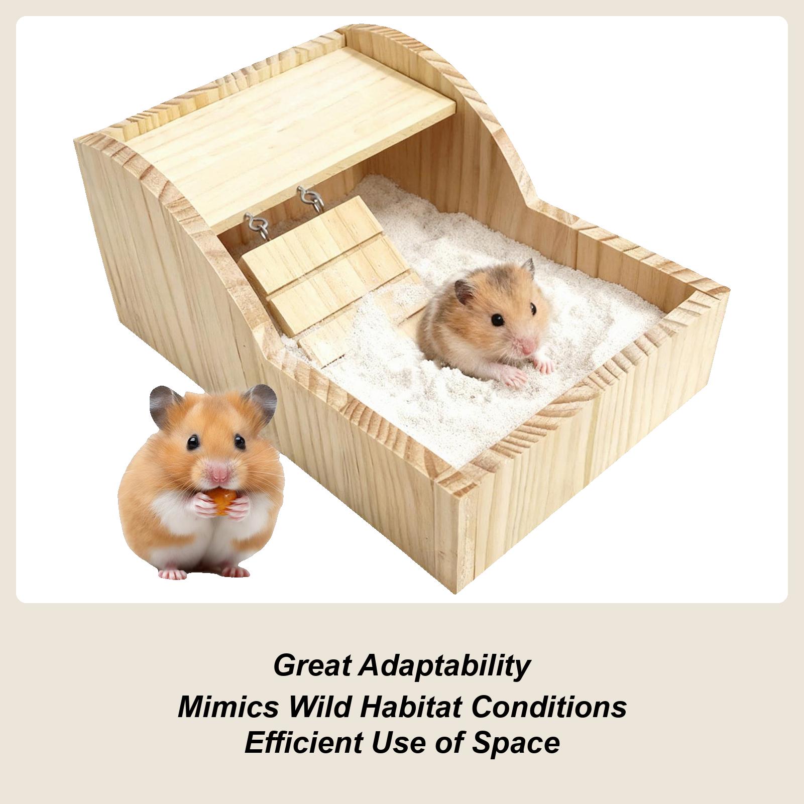 

Hamster Sand Box Wooden With Ladder Hamster Sand Bathtub For Enrichment Pet-Care Comfort Home Cage Lifestyle Wellness Hygiene China Mainland