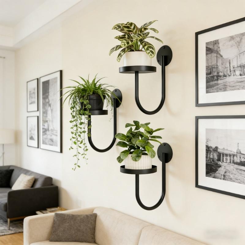 3 Stück Mehrzweck-Wandpflanzenhalter zum Aufhängen von Grünpflanzen Platzsparend für Innenräume Moderne Dekorationen Pflanzgefäß Halter Gestell