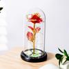 Romantic Rose Forever Flower In Dome Led Light Valentine Day Birthday Gift Decor