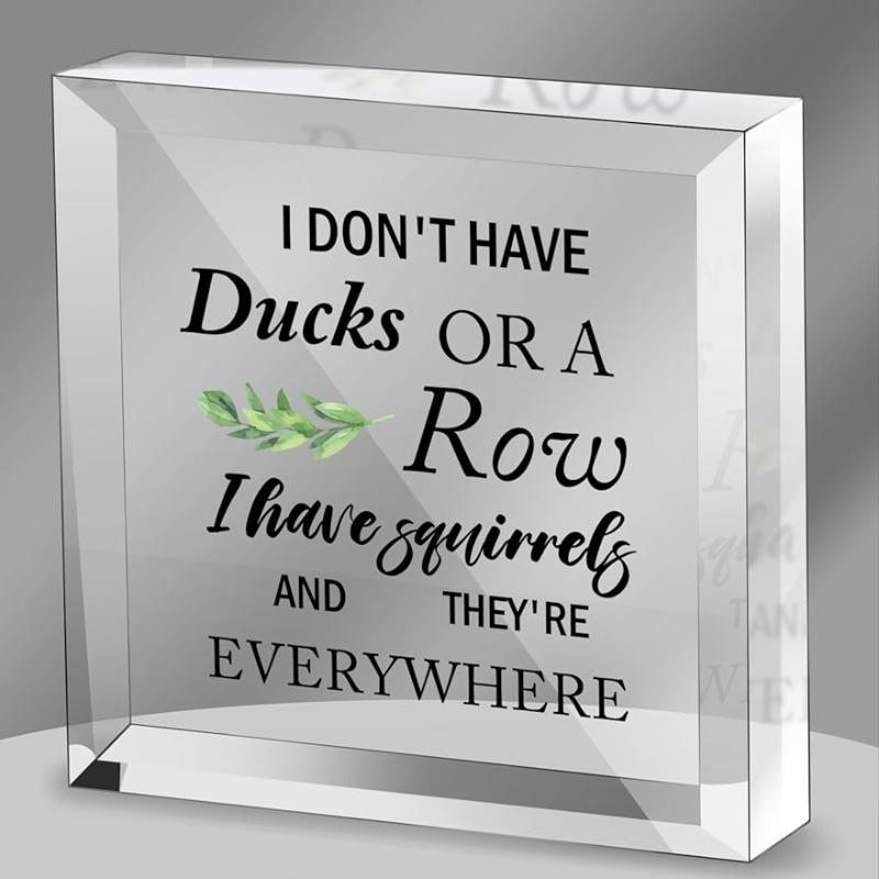 

Squirrels Everywhere Acrylic Sign - Humorous 4x4 Inch Farmhouse Desk Decor чистый