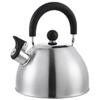 Stainless Steel Kettle Flute Boiling Kettle Household Chirping Kettle Induction Cooker Gas Stove Universal