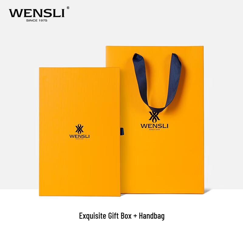 WENSLI Women's Mulberry Silk Chiffon Long Scarf