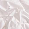 Conch Warm Polyester Fiber Duvet Insert