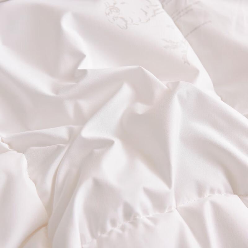 Conch Warm Polyester Fiber Duvet Insert