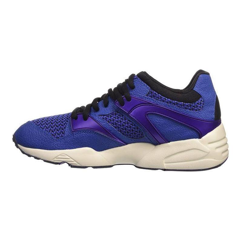 Puma Round Toe Lace-Up Mesh Fabric Shock Absorbing Breathable Impact Resistant Low Top Running Shoes Unisex Sneakers Blue 359996-02